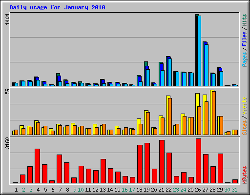 Daily usage for January 2010