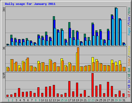 Daily usage for January 2011