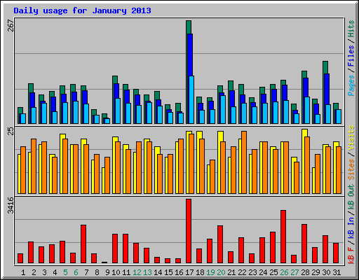 Daily usage for January 2013