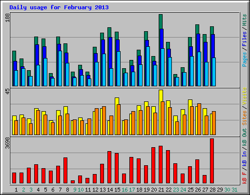 Daily usage for February 2013