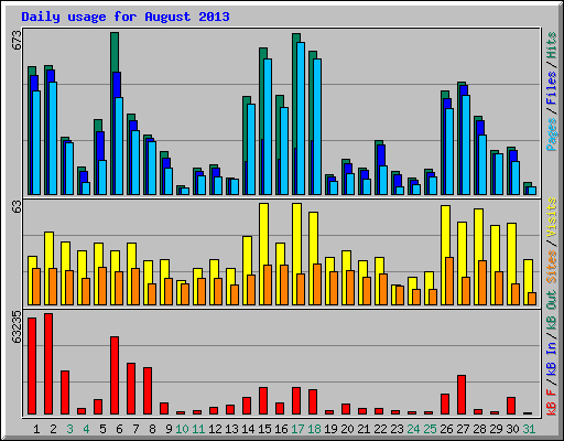 Daily usage for August 2013