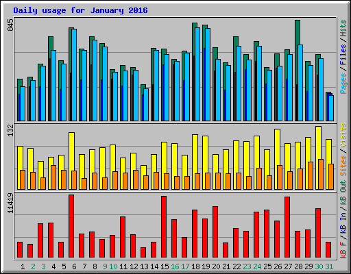 Daily usage for January 2016