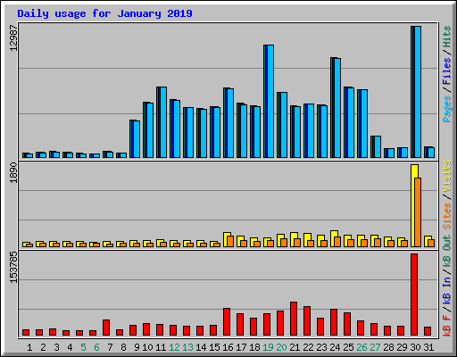 Daily usage for January 2019