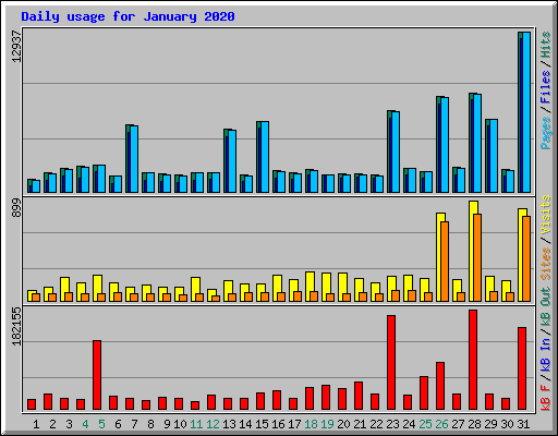 Daily usage for January 2020