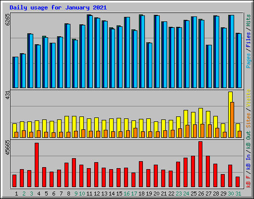 Daily usage for January 2021