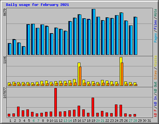 Daily usage for February 2021