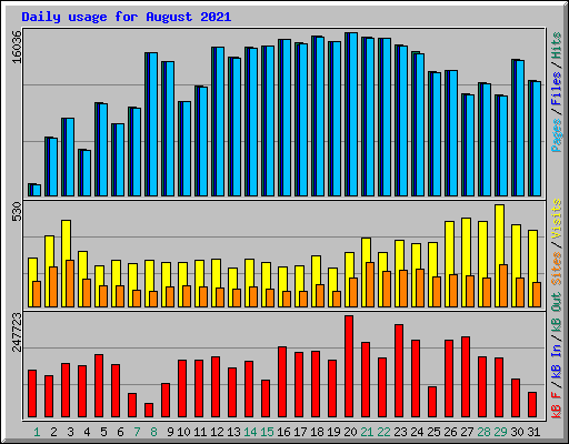 Daily usage for August 2021