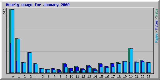 Hourly usage for January 2009