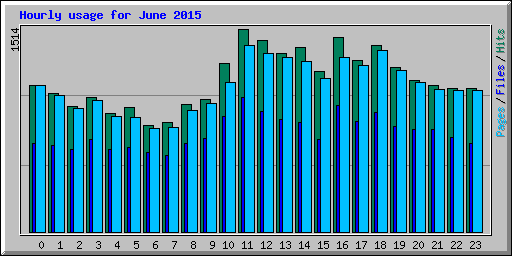 Hourly usage for June 2015