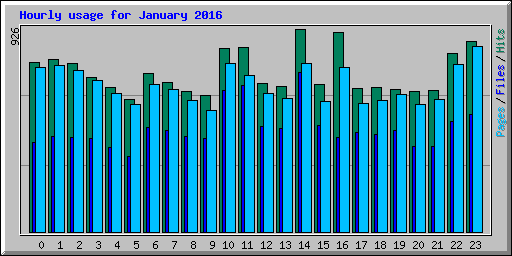 Hourly usage for January 2016