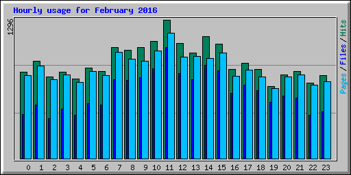 Hourly usage for February 2016