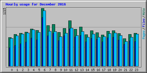 Hourly usage for December 2016