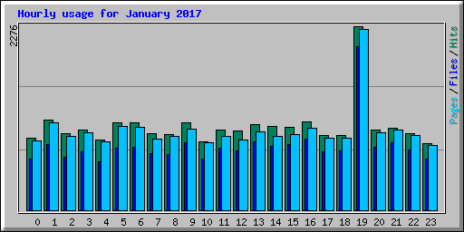 Hourly usage for January 2017