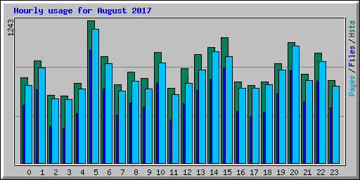 Hourly usage for August 2017