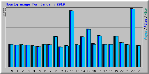 Hourly usage for January 2019