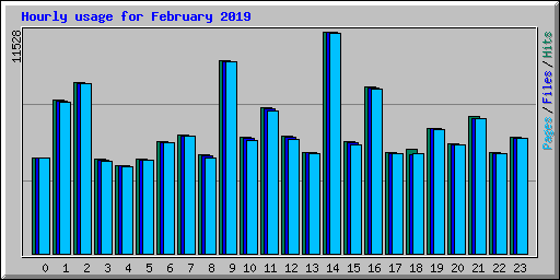 Hourly usage for February 2019