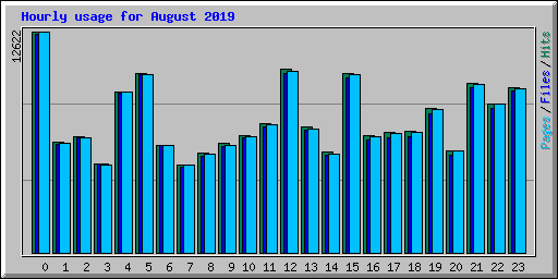 Hourly usage for August 2019