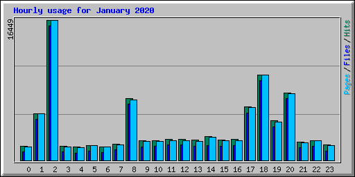 Hourly usage for January 2020