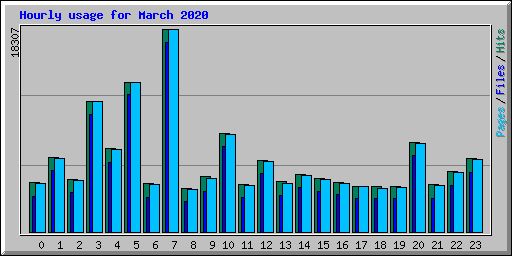 Hourly usage for March 2020