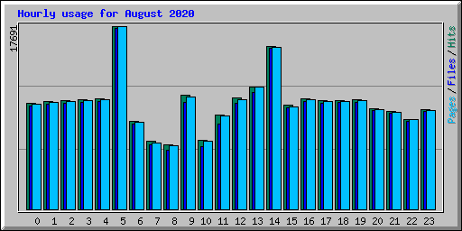 Hourly usage for August 2020