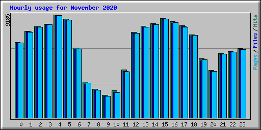 Hourly usage for November 2020