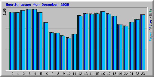 Hourly usage for December 2020