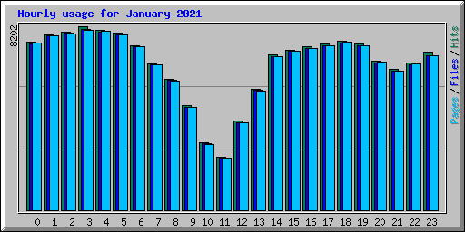 Hourly usage for January 2021