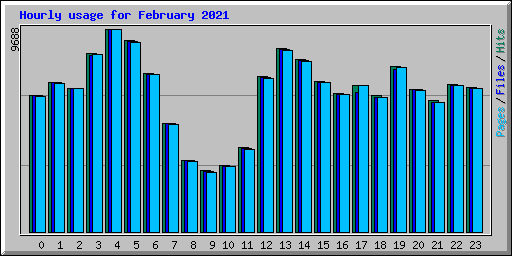 Hourly usage for February 2021