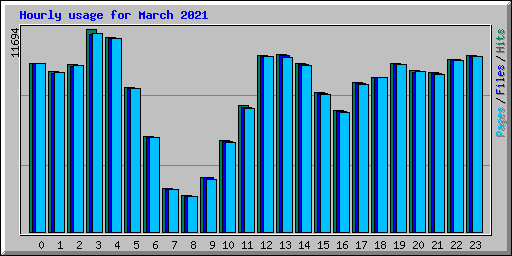 Hourly usage for March 2021