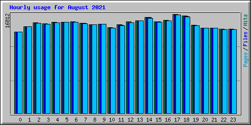 Hourly usage for August 2021