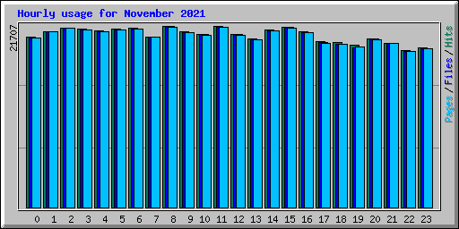 Hourly usage for November 2021