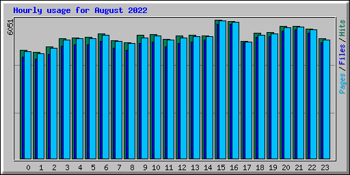 Hourly usage for August 2022